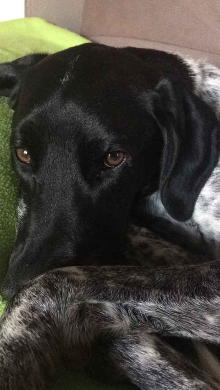 Bomboniere fai da te - 1