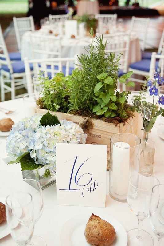 Tema libri e tema piante aromatiche - 1