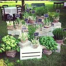 Tema libri e tema piante aromatiche - 5