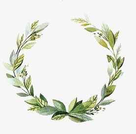 template partecipazioni - 13