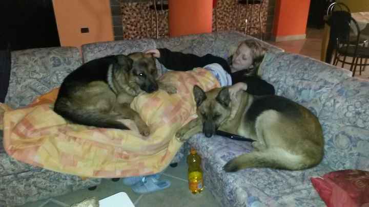 Le foto dei vostri animali - 1