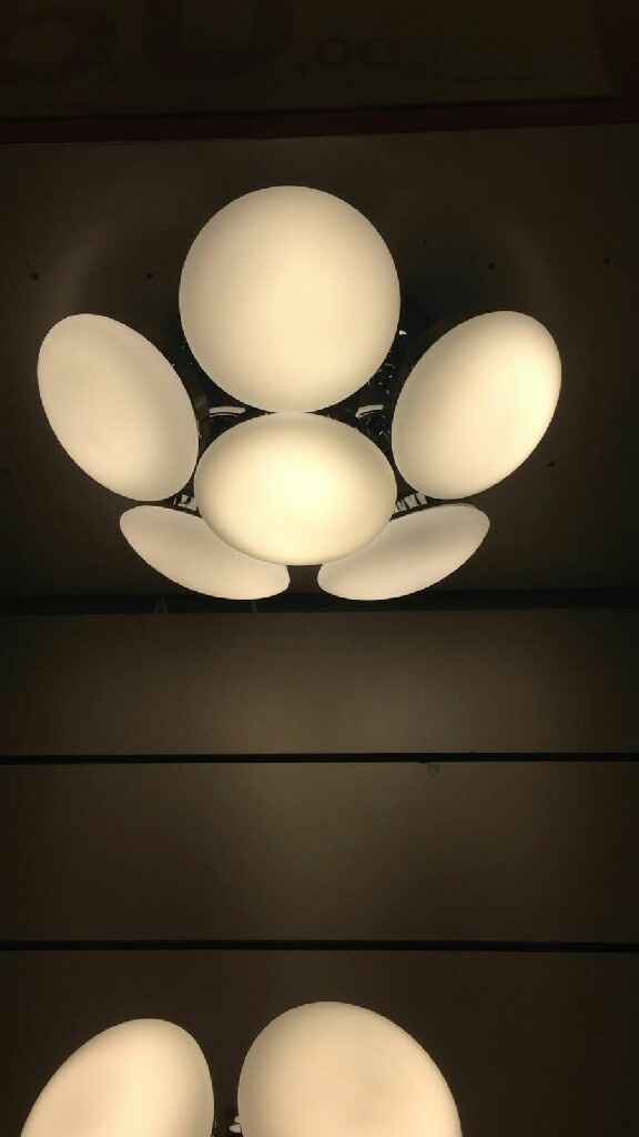 La casa prende forma - 5