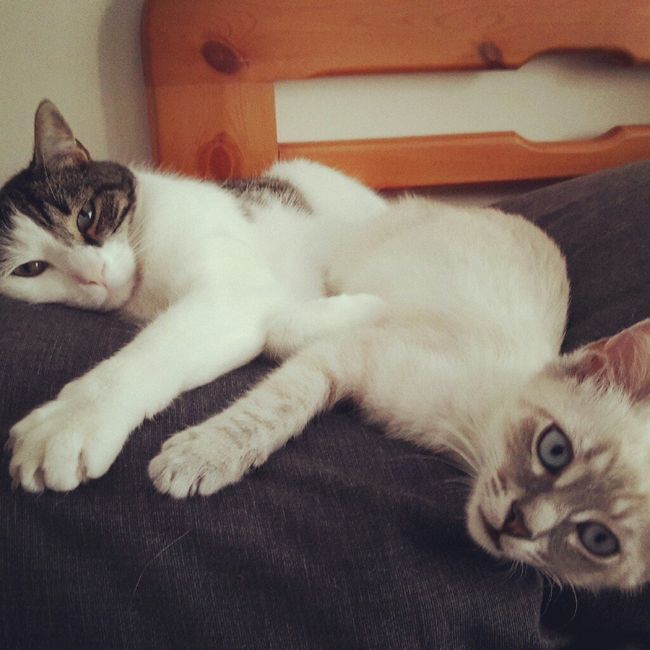 Foto con pelosetti - 1