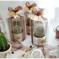 Info bomboniere! sos - 8