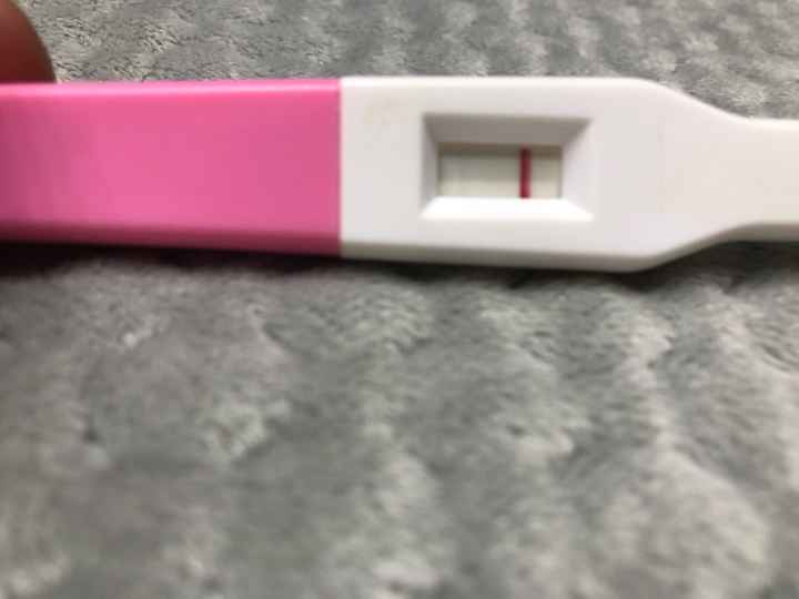 Chi non le aspetta per Maggio 2020 - 1