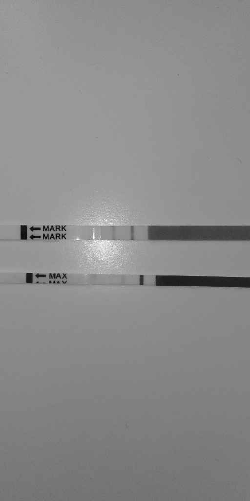 Chi non le aspetta per luglio 2020 🍀🐞🤞🌈🌻 - 4