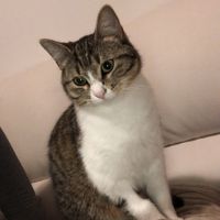 Collaboratori pelosi ❤️ - 1