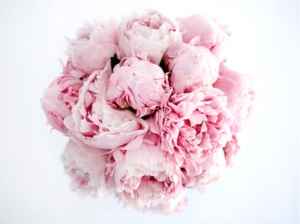 Bouquet non di rose - 2