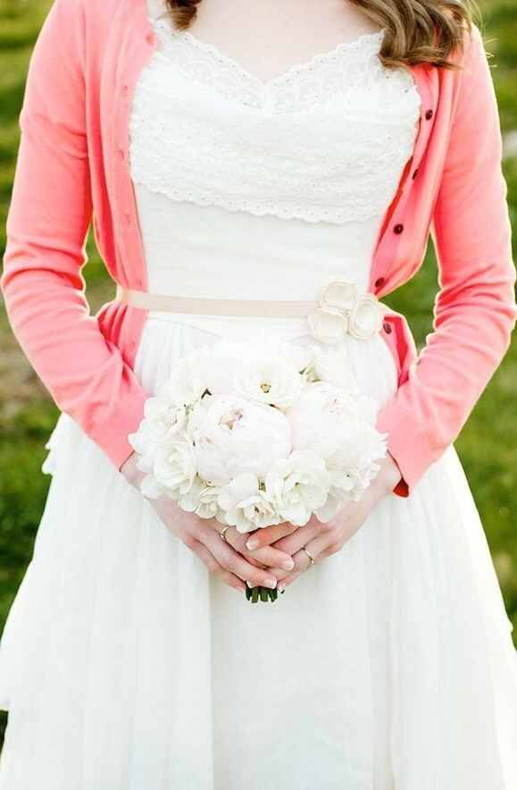 Coprispalle si o no? - 1