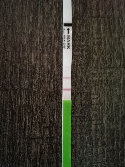 Chi non le aspetta per settembre 🍀🤞 - 1