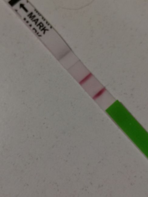 Chi non le aspetta per novembre 2019 - 1