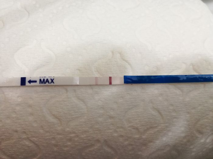 Per chi non le aspetta per febbraio 2020 - 1