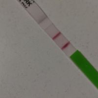 Chi non le aspetta per novembre 2019 - 1