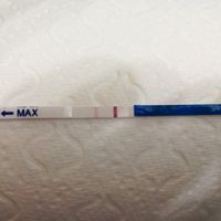 Per chi non le aspetta per febbraio 2020 - 1