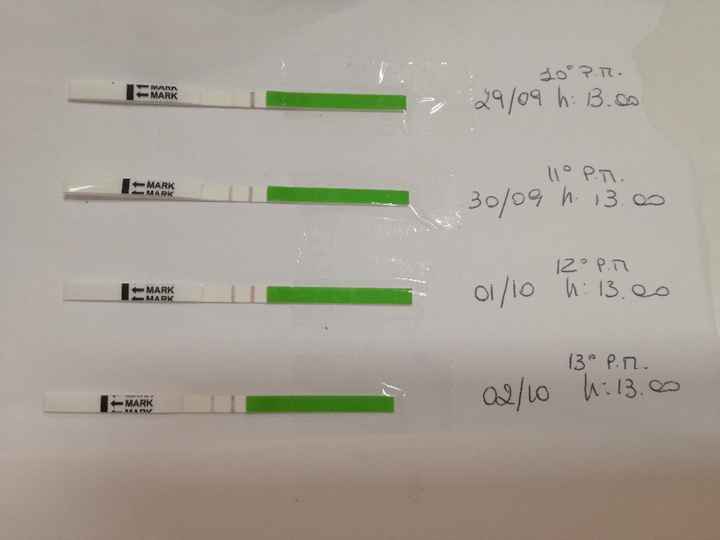 Che dite di questi risultati di ovulazione? - 1