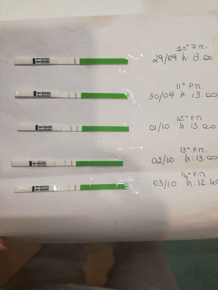 Ragazze domanda sull'ovulazione: - 1