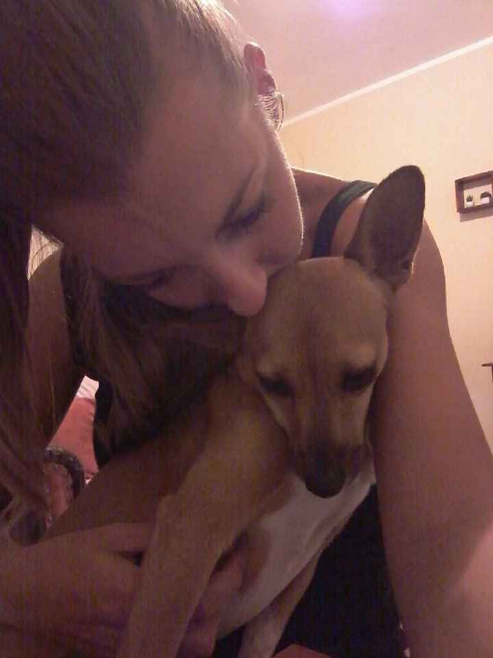 I nostri amici a 4 zampe - 2