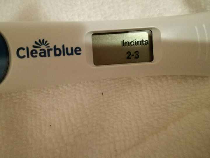 Ebbene si.....ma non mi sembra vero! - 1