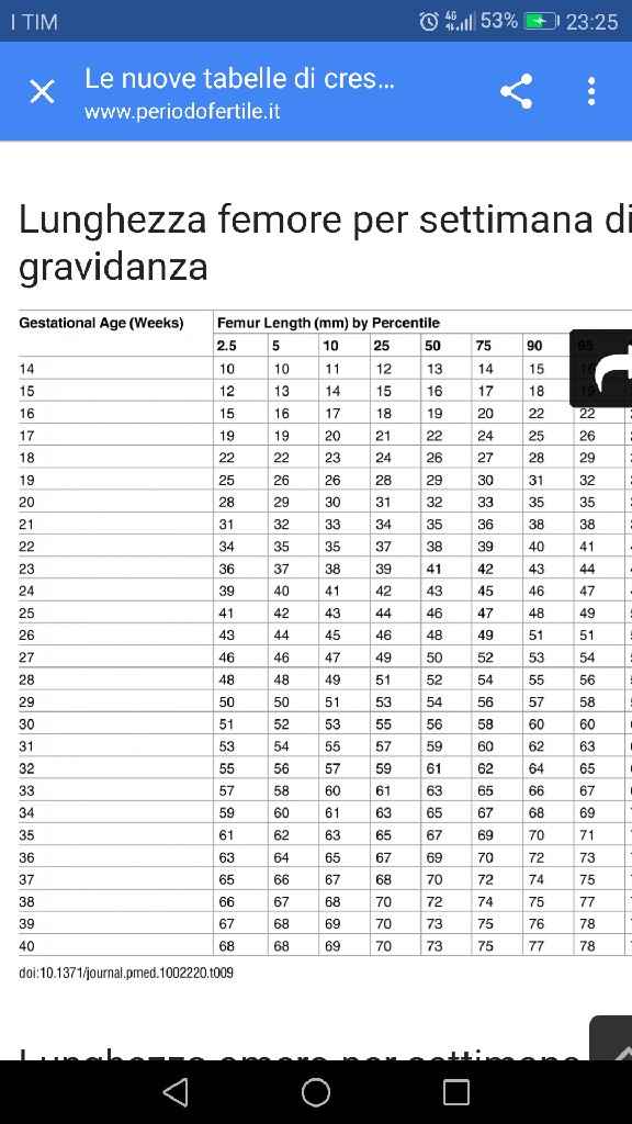 Eco di accrescimento! guardate che labbra! sempre piu polpetta!😍 - 1