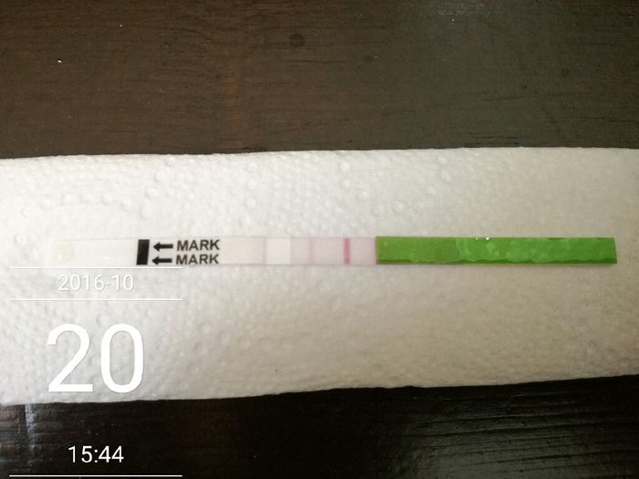 Dubbi test aiutatemiiii - 1