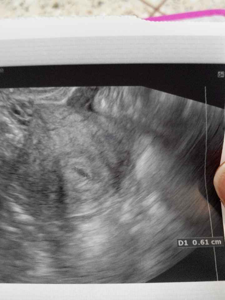 Qualche consiglio per la neoarrivata - 1