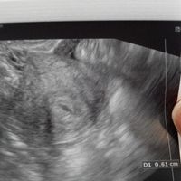 Qualche consiglio per la neoarrivata - 1