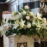 Fiori agosto - 3