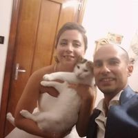 Foto di nozze con i nostri amici animali - 2