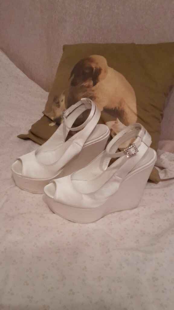 Le mie scarpe 👠 - 1