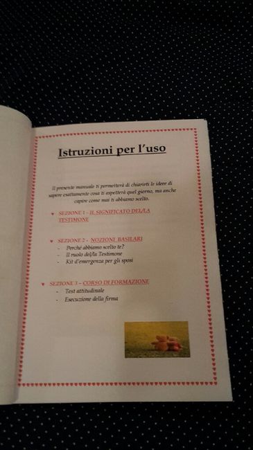 Manuale del/la testimone perfetto/a - 2