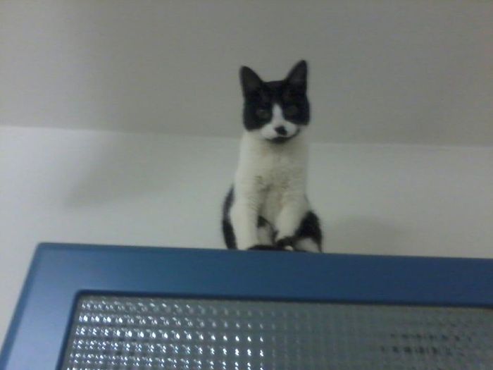 stellaaaaaaaaaaaaaaaa