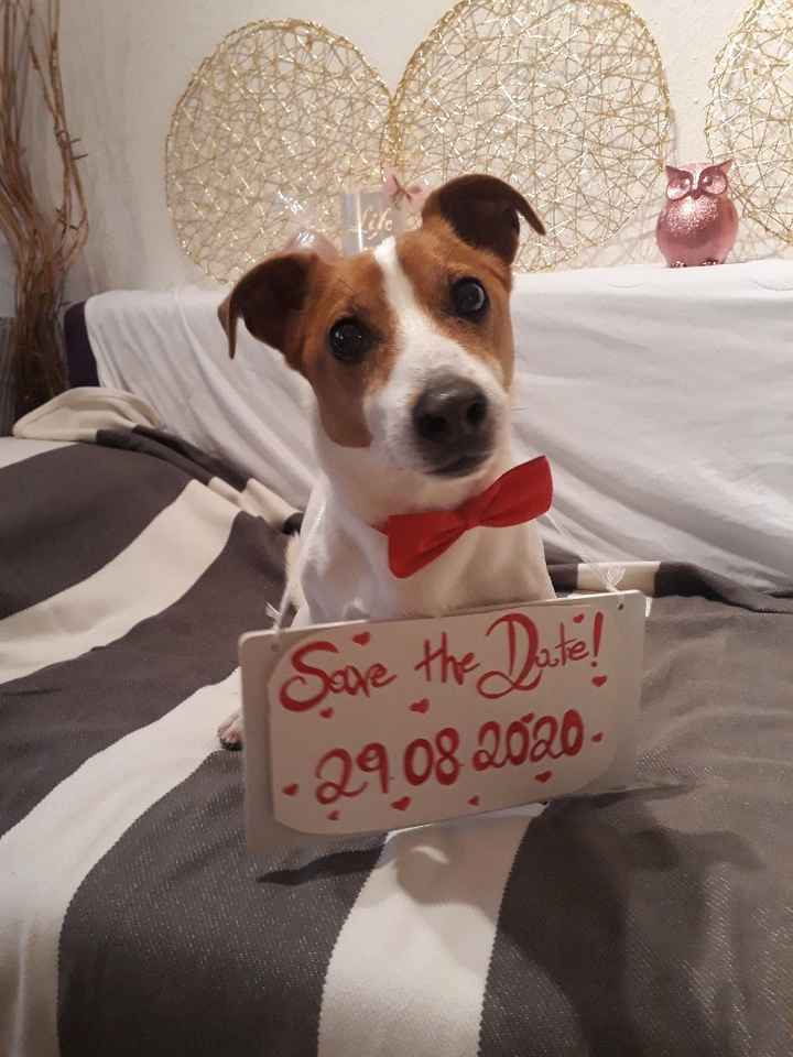 Quale portafedi preferisci? - 1