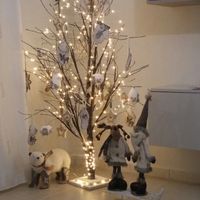 Scegliere l'albero di natale - 1