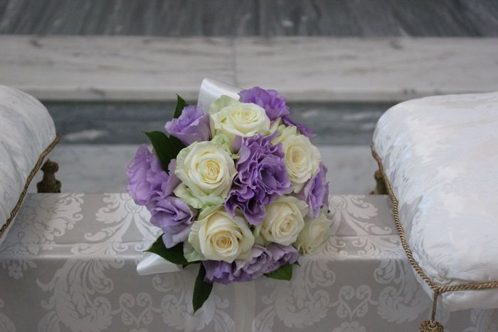 Viola. Perché no? 2