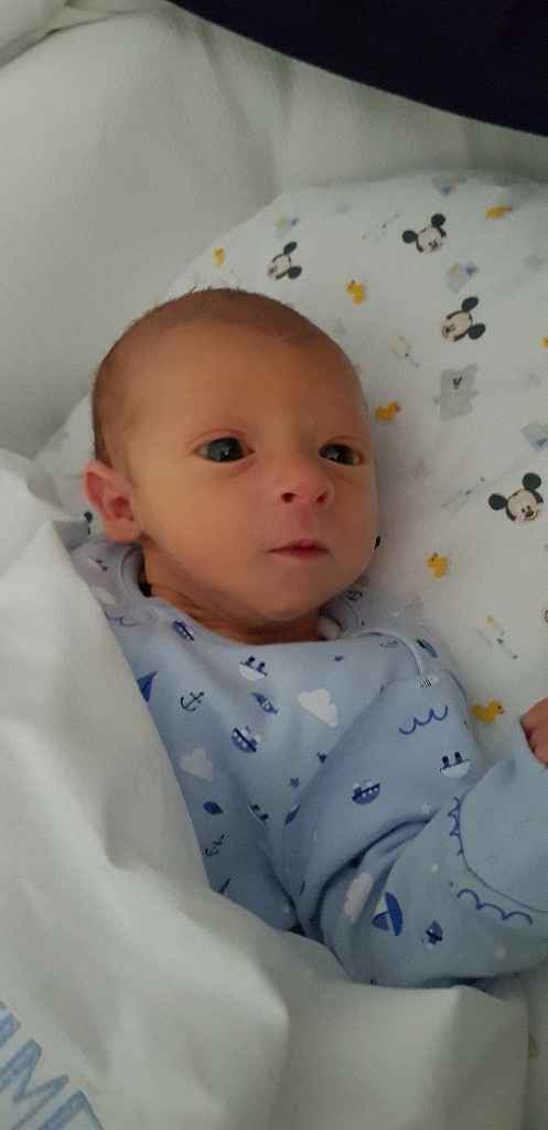 Eccoci a casa 💙 - 3