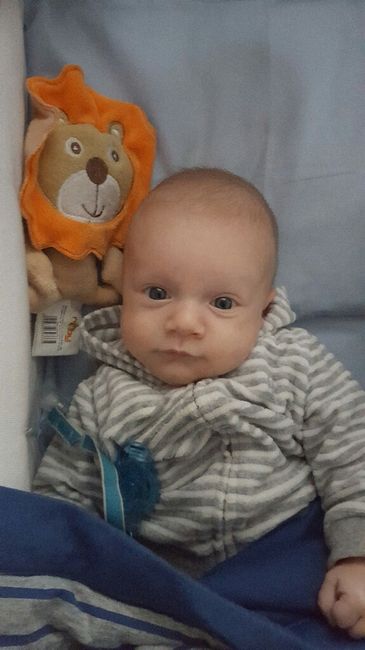 Damigelle e pagetti - 2