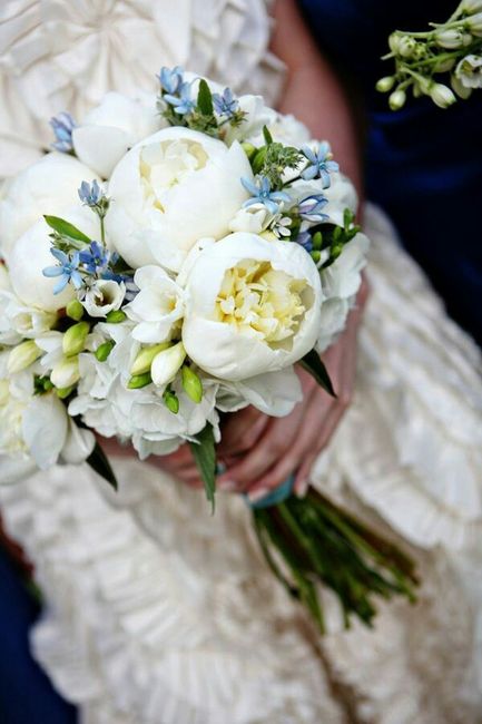 Fatemi vedere il vostro 💐 - 1