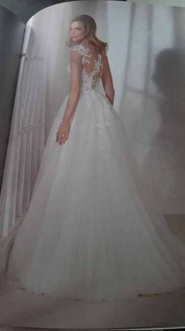 Amore a prima vista 😍 - 2