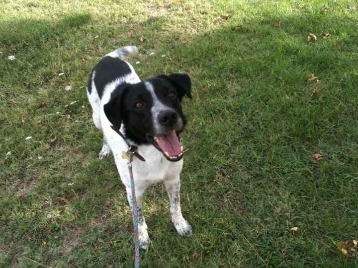 Se non ci fossero loro... - 3