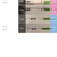 Stick ovulazione - 1