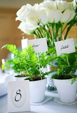 Matrimonio verde