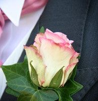 fiore all'occhiello 
