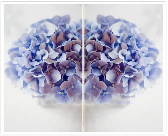 blue wedding