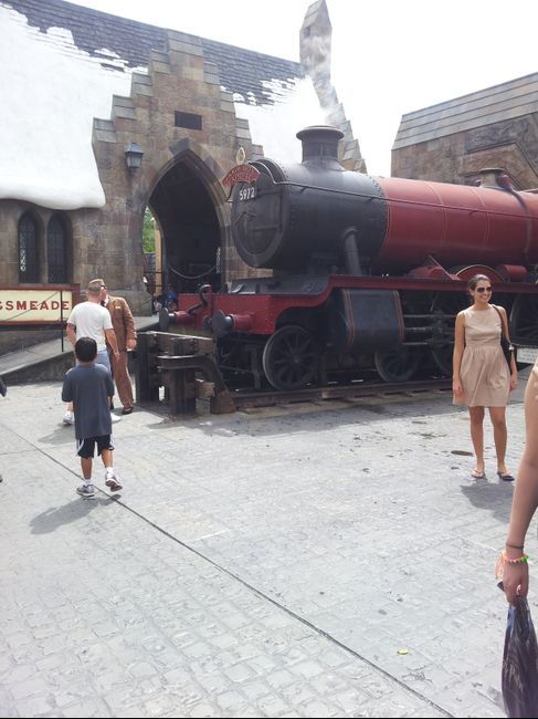 Universal S. Harry Potter