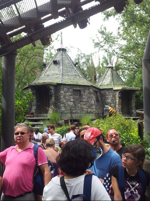 Universal S. Harry Potter
