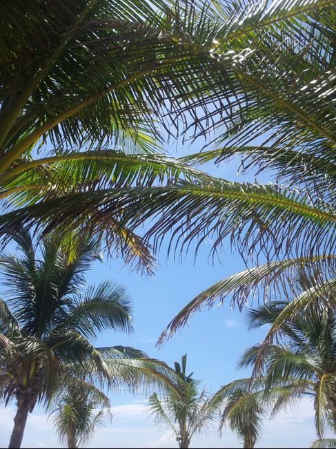 Messico
