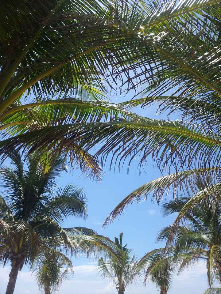 Messico