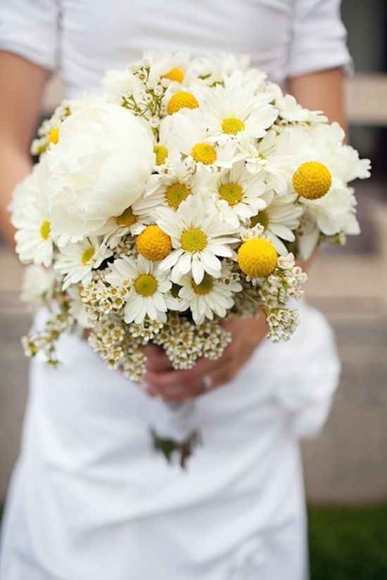 Bouquet di Margherite