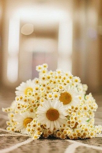 Bouquet di Margherite