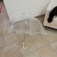 sos chi mi aiuta a trovare un Ombrello?? - 1